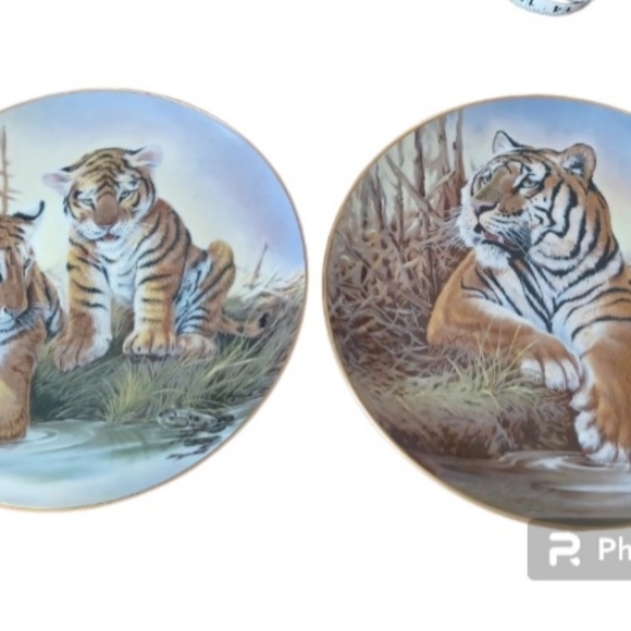Collectors Tiger plates 2 plates included - Picture 6 of 6